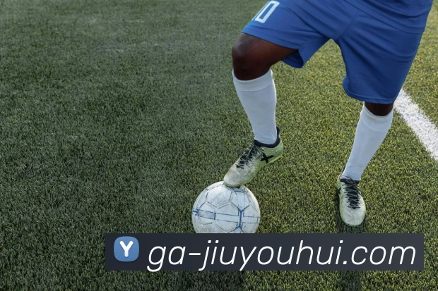 J9九游会官网平台生态图